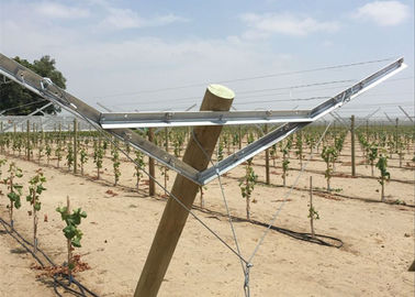 Os sistemas da treliça do vinhedo do solar da uva reduziram custos da instalação e de instalação