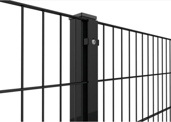 Cerca soldada revestida PVC 50X200MM dos painéis de rede de arame 868 com cargo quadrado de 50MM