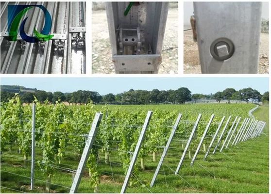 cargo da treliça da uva de 1.5mm 54X30MM com 2 furos laterais de H