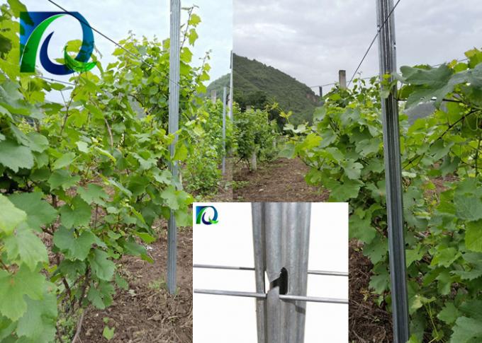 Os anti cargos da treliça do vinhedo do metal da oxidação com H deram forma a furos para o fio de 1.6-3.0MM