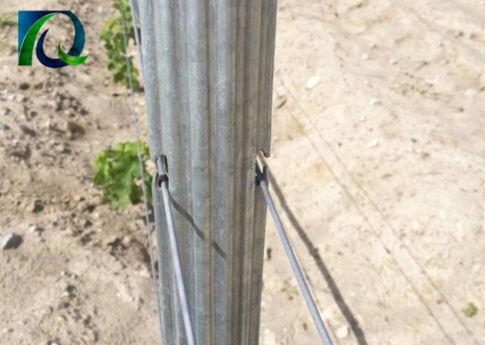 A treliça do vinhedo do metal dos furos da forma de H afixa a espessura de 1.5mm-2.0mm de grande resistência
