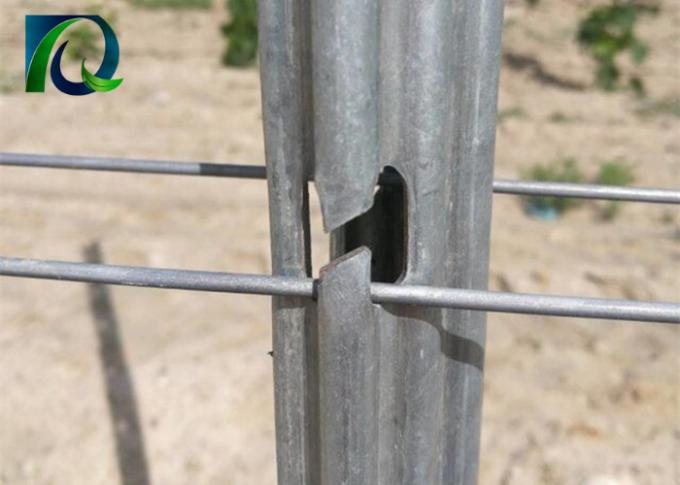 Cargos resistentes da treliça do vinhedo do metal com vida útil longa H-dada forma dos furos